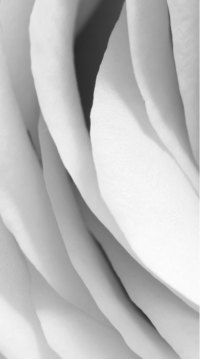 side_bg_2